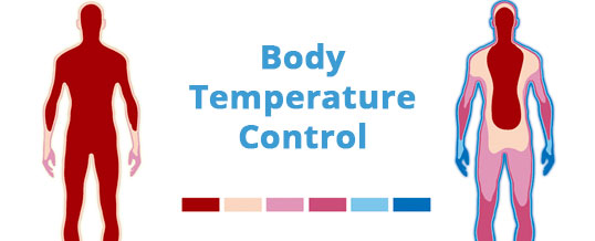 Body Temperature Control